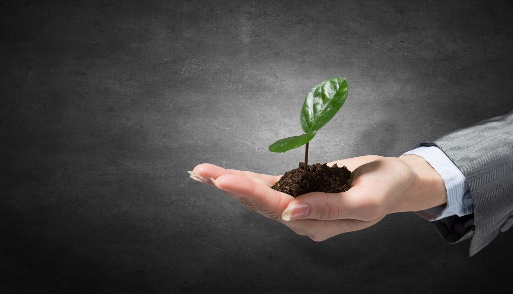 hånd med jord og plante - tema bærekraft